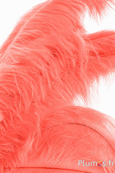 Strauss - 30-40 cm - lachs orange